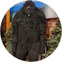 Cici profile picture