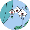 Rosalind profile picture