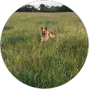 Susan Dubens profile picture